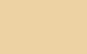 Minimalist Cream Beige Solid Color Background for Desktop and Mobile Screens HD wallpaper