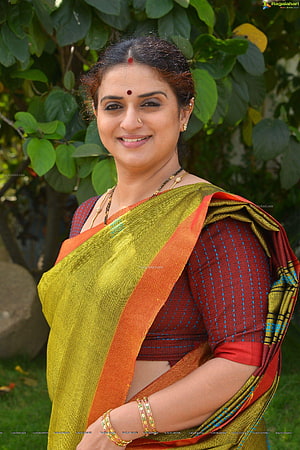 Pavitra Lokesh in Traditional Green and Orange Silk Saree with Gold Jewelry HD phone wallpaper