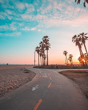 Sunset Beach Bike Path in Los Angeles with Palm Trees and Ocean View HD phone wallpaper