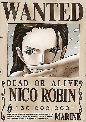Nico Robin Wanted Poster from One Piece Anime Series HD phone wallpaper