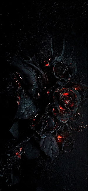 Dark Gothic Black Roses with Glowing Red Embers on Charred Background HD phone wallpaper