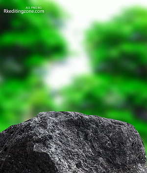 Dark Textured Rock Against Blurred Green Foliage Background HD phone wallpaper
