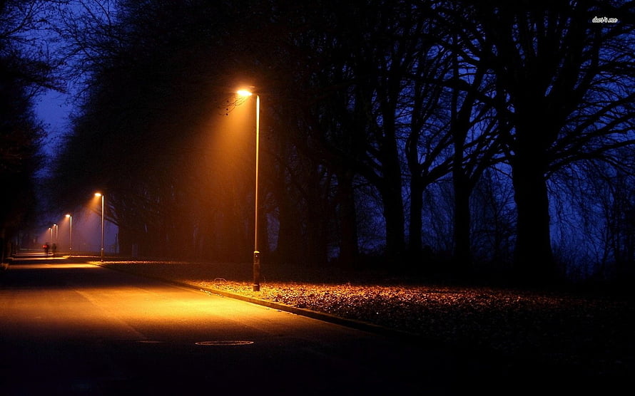 Moody Night Street Scene With Glowing Streetlights And Silhouetted Trees HD wallpaper