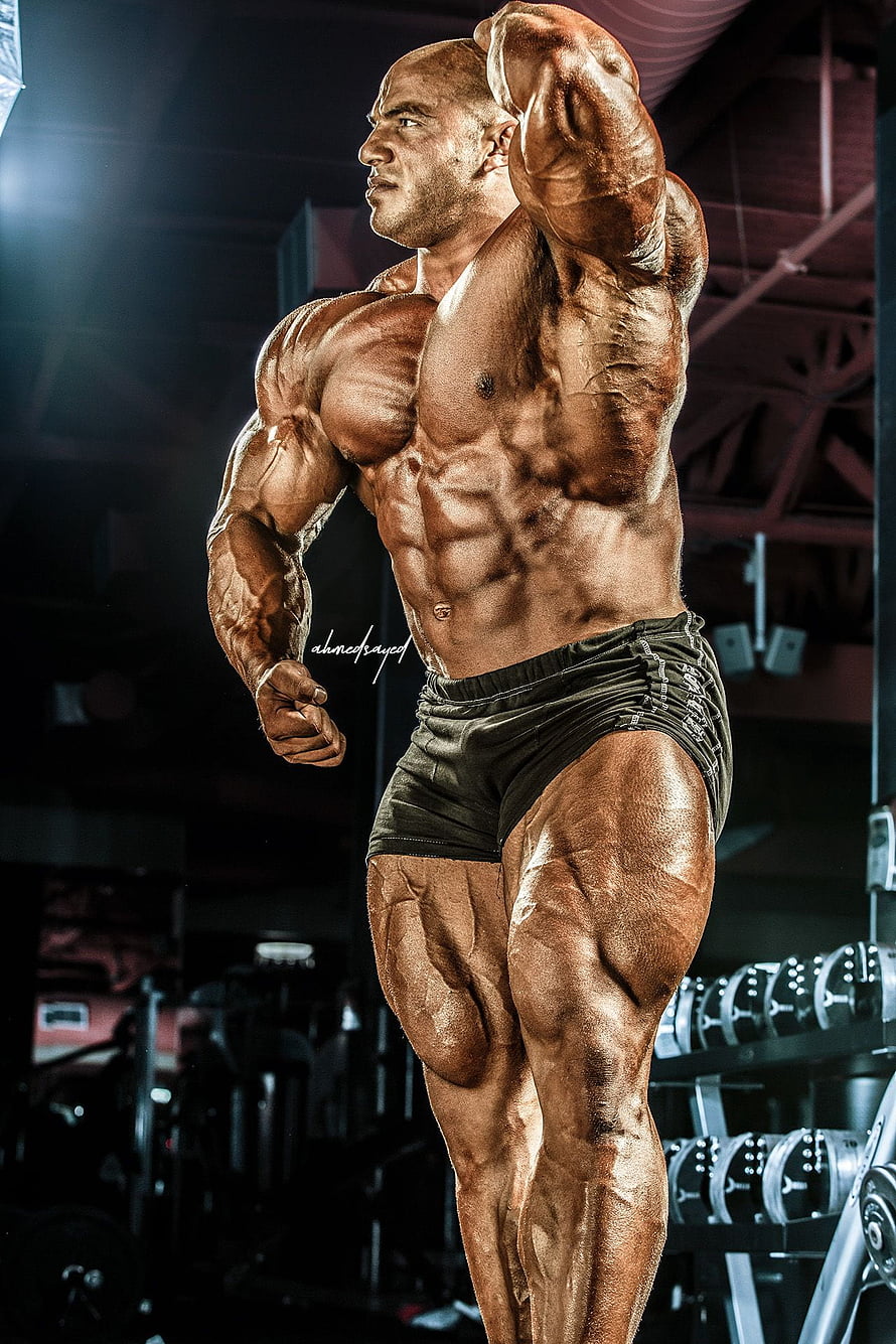 Big Ramy Bodybuilder Poses in Gym with Extreme Muscle Definition and Oiled Skin HD phone wallpaper