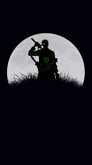 Roronoa Zoro Silhouette Against Full Moon in Dark Grass HD phone wallpaper