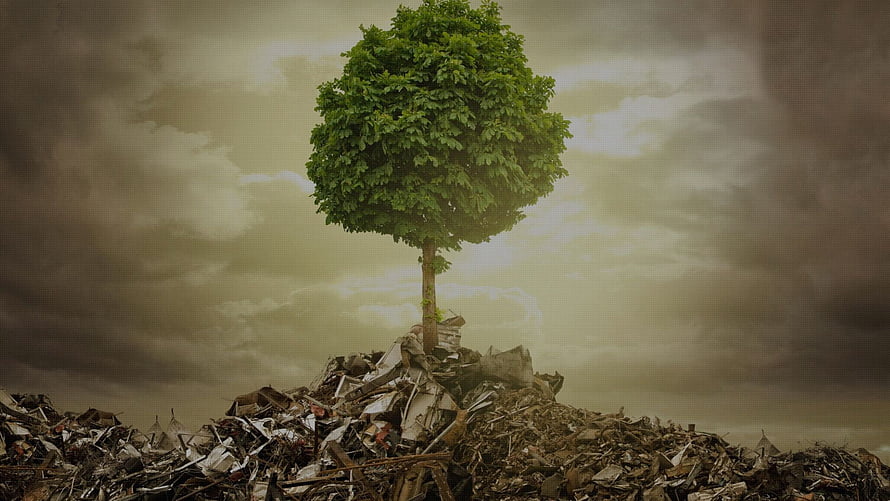 Lone Tree Growing from Pile of Rubble Under Stormy Sky HD wallpaper
