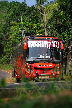 Rosariyo Travel Hub decorated bus on a tropical road in Kerala HD phone wallpaper