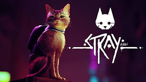 Stray Video Game Protagonist Cat in Neon Cyberpunk Setting HD wallpaper