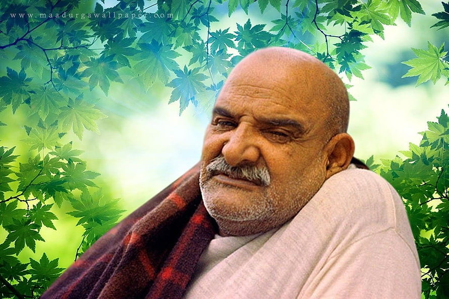 Neem Karoli Baba Portrait with Green Maple Leaves and Soft Natural Light HD wallpaper