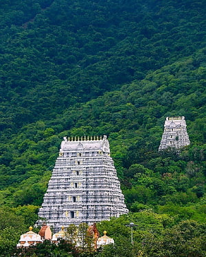 Tirumala Temple Gopurams Rising from Lush Green Hills in Andhra Pradesh HD phone wallpaper