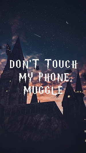 Hogwarts Castle at Night with Broomstick Silhouettes and Starry Sky HD phone wallpaper