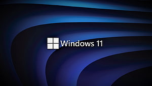 Windows 11 Official Logo on Dark Blue Abstract Flowing Background HD wallpaper