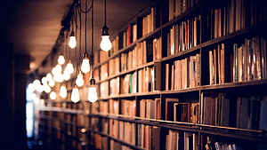 Warmly lit library shelves with hanging Edison bulbs and rows of books HD wallpaper