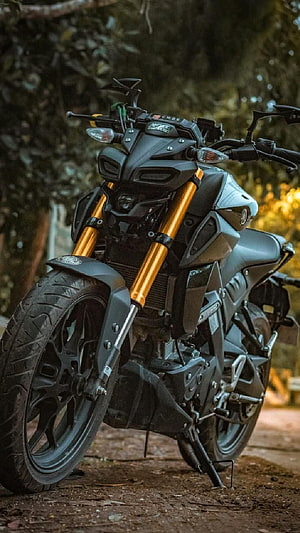 Modified Yamaha MT15 Motorcycle With Gold Forks Parked On Dirt Path HD phone wallpaper