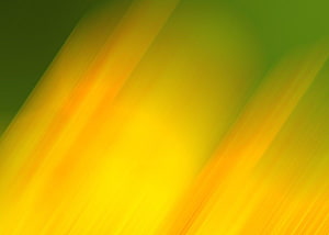 Abstract Diagonal Gradient Background in Green and Yellow Tones HD wallpaper