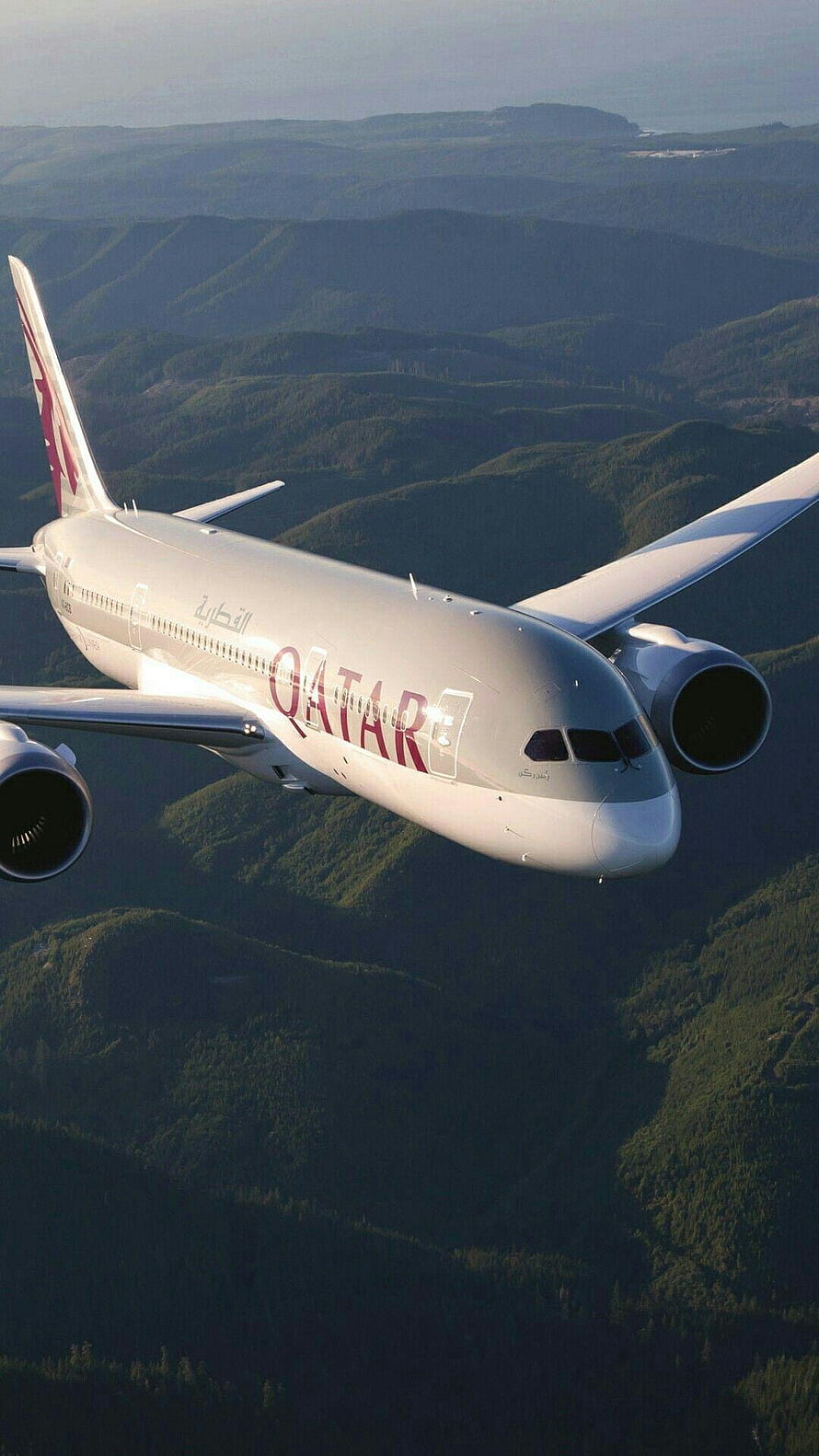 Qatar Airways Boeing 787 Dreamliner Cruising Over Lush Green Mountain Ranges HD phone wallpaper