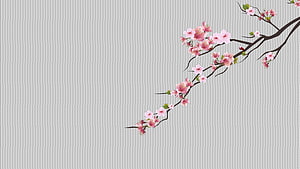Minimalist Pink Cherry Blossom Branch on Soft Gray Background HD wallpaper
