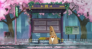 Doggie Corgi Waiting at Rainy Bus Stop Under Cherry Blossoms HD wallpaper