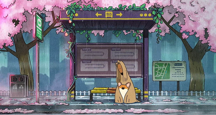 Doggie Corgi Waiting at Rainy Bus Stop Under Cherry Blossoms HD wallpaper