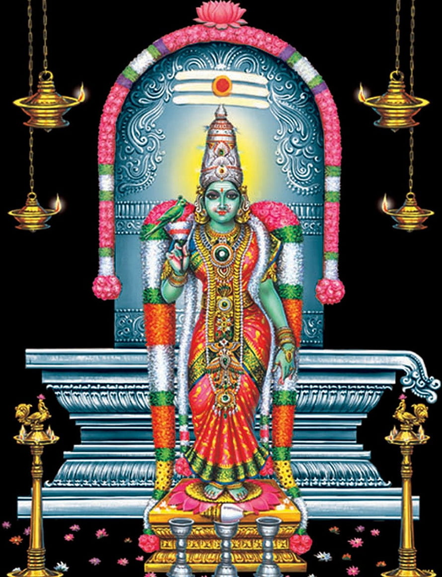 Goddess Meenakshi Amman Temple Deity Portrait with Oil Lamps and Floral Garland HD phone wallpaper