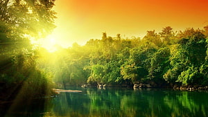 Sunlit Forest River with Golden Sky and Lush Green Reflections HD wallpaper