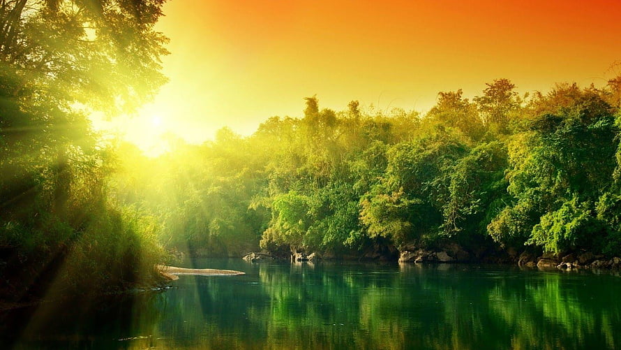 Sunlit Forest River with Golden Sky and Lush Green Reflections HD wallpaper