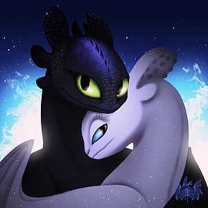 Toothless and Light Fury Embracing Under a Starry Night Sky HD phone wallpaper