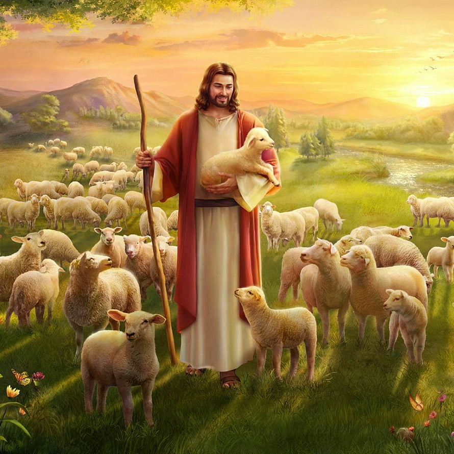 Jesus as the Good Shepherd Holding a Lamb in a Golden Pasture at Sunset HD phone wallpaper
