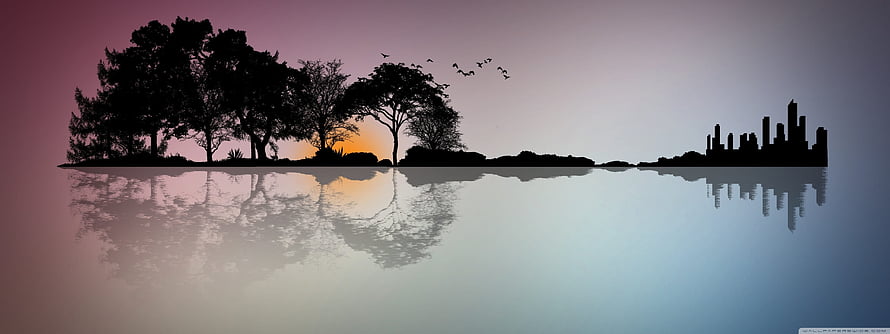 Silhouetted Trees and City Skyline Reflected in Calm Water at Sunset HD wallpaper