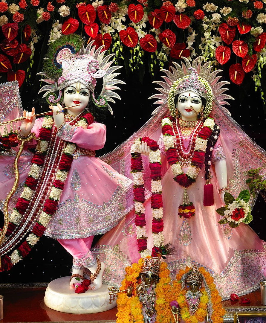 Radha Krishna Murti in Pink Attire with Floral Garlands and Anthurium Decor HD phone wallpaper