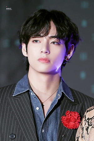 BTS V Taehyung in Pinstripe Suit with Red Carnation at Event HD phone wallpaper
