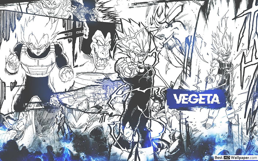 Vegeta Dragon Ball Z Manga Artwork Black White Blue Ink Illustration HD wallpaper