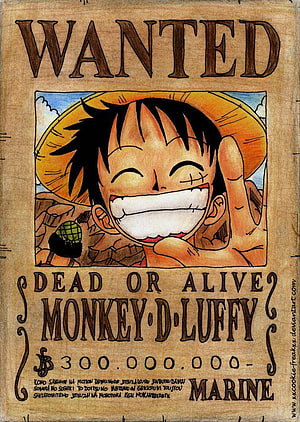 Monkey D. Luffy Wanted Poster from One Piece Anime Series HD phone wallpaper