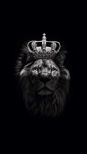 Majestic Lion King Wearing a Royal Crown with Glowing Blue Eyes on Black Background HD phone wallpaper