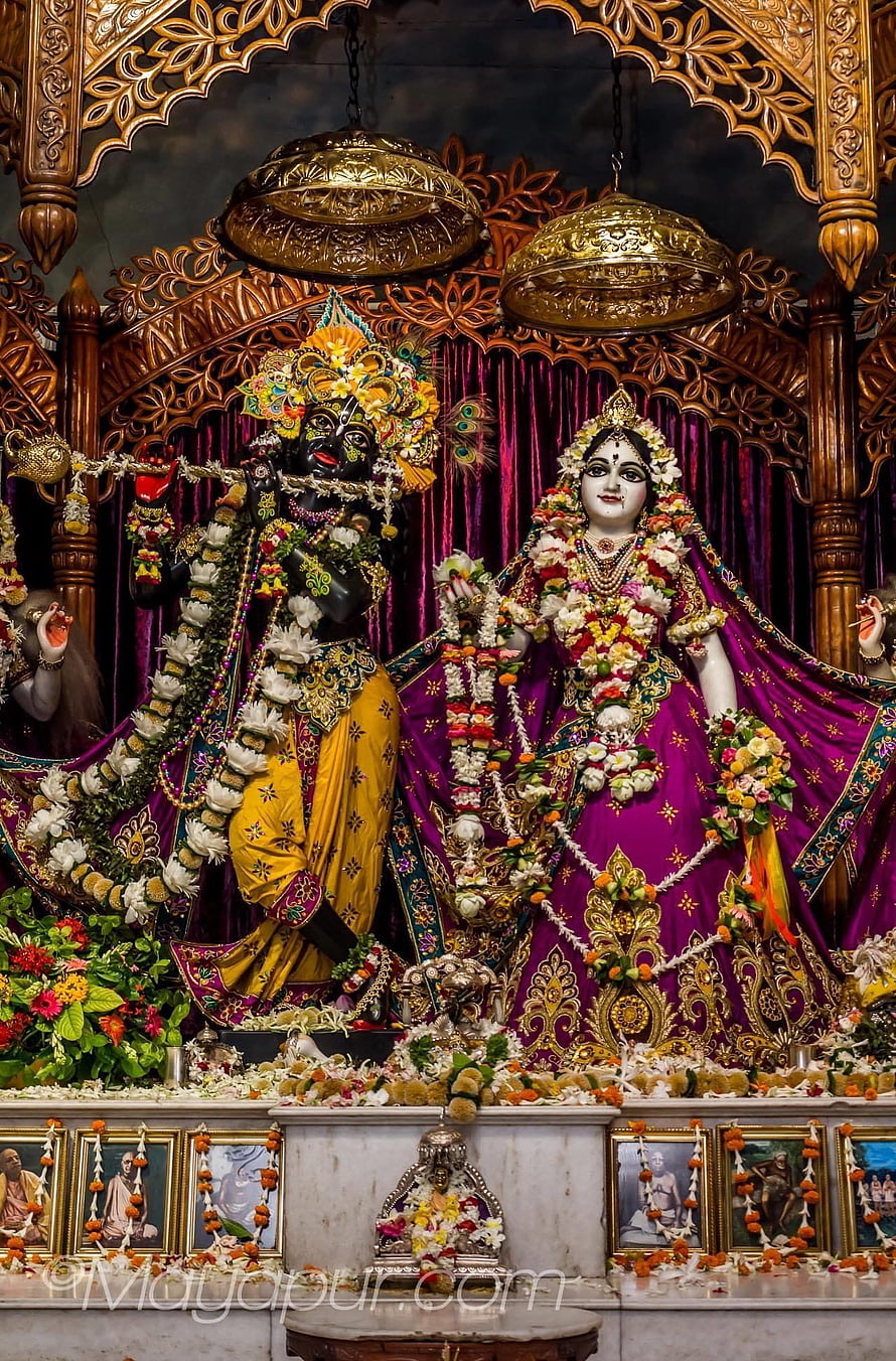 Ornate Krishna and Radha Temple Deities Adorned with Fresh Flower Garlands and Gold Jewelry HD phone wallpaper