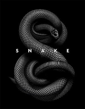 Monochromatic 3D Rendered Snake Coiled in an S Shape on Black Background HD phone wallpaper