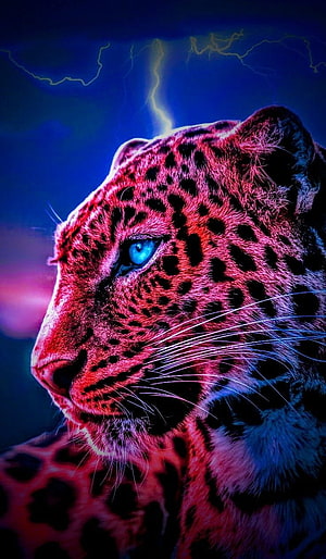 Neon Pink Cheetah Portrait with Electric Blue Eyes and Lightning Storm Background HD phone wallpaper