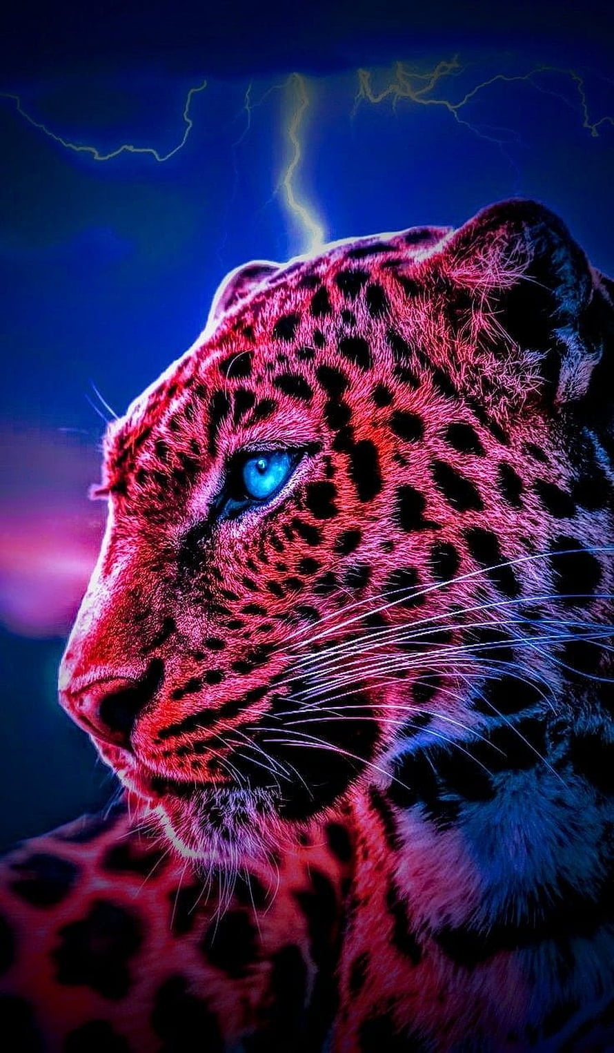 Neon Pink Cheetah Portrait with Electric Blue Eyes and Lightning Storm Background HD phone wallpaper