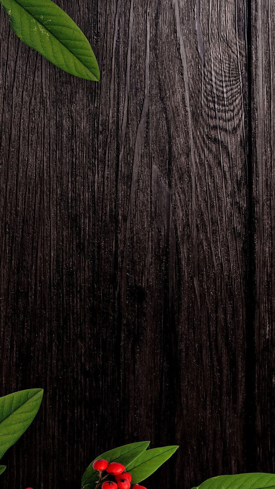 Dark Charred Wood Texture with Green Leaves and Red Berries HD phone wallpaper
