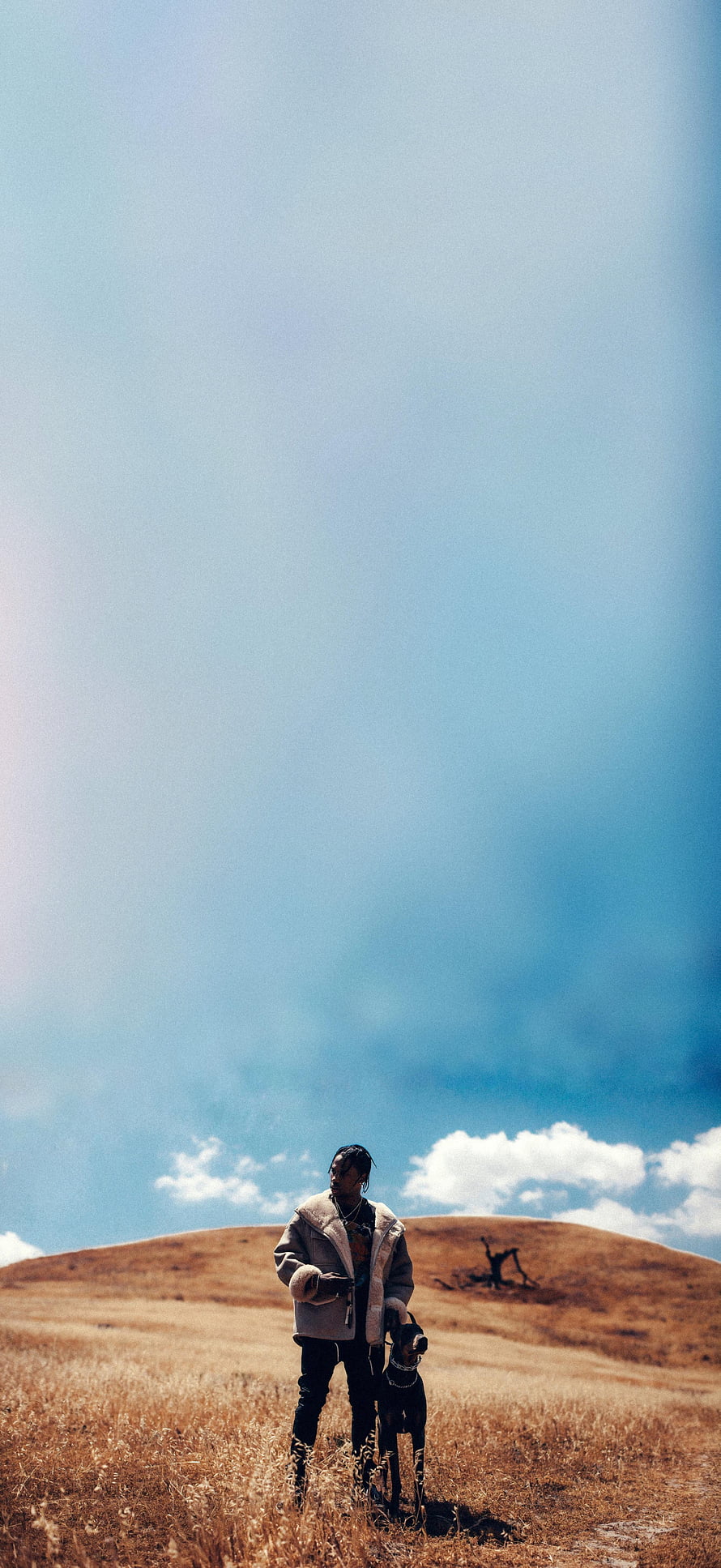 Travis Scott standing in a golden grassy field with a dog under a vast blue sky HD phone wallpaper