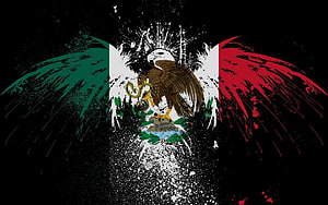 Grunge Mexican Flag Artwork Featuring Eagle and Cactus on Black Background HD wallpaper