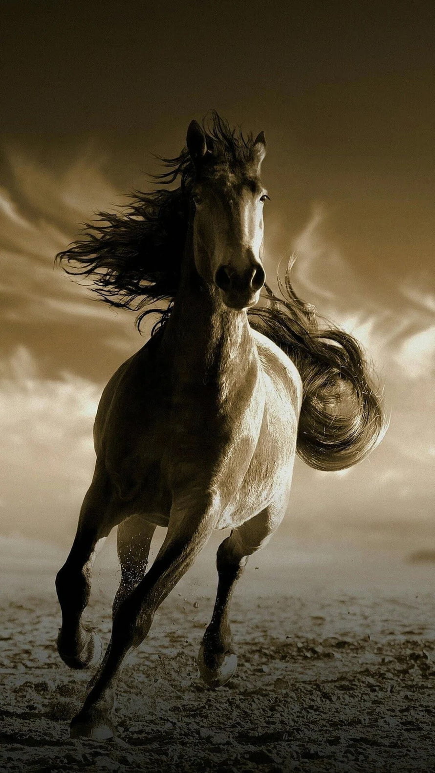 Dramatic Sepia Photograph of a Galloping Horse with Flowing Mane and Tail HD phone wallpaper