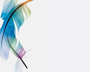 Elegant Watercolor Feather Design on White Background for Creative Presentations HD wallpaper