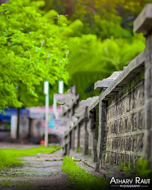 Vibrant Green Foliage Along a Weathered Stone Wall in a Lush Garden Path HD phone wallpaper