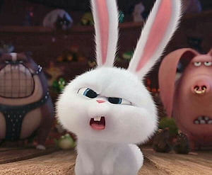 Snowball the White Rabbit from Zootopia with a Grumpy Expression HD wallpaper
