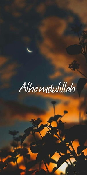 Alhamdulillah Crescent Moon and Silhouetted Flowers at Sunset HD phone wallpaper