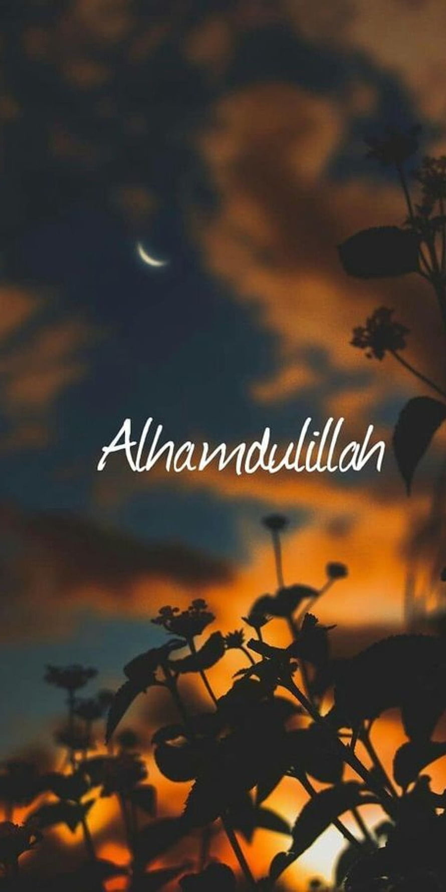 Alhamdulillah Crescent Moon and Silhouetted Flowers at Sunset HD phone wallpaper