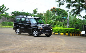 Black Mahindra Scorpio S11 SUV Driving on a Tropical Road HD wallpaper