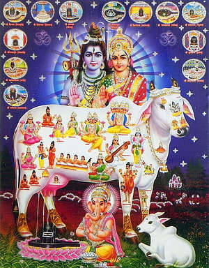 Kamadhenu Cow with Shiva, Parvati, Ganesha and Jyotirlingas Hindu Deity Illustration HD phone wallpaper