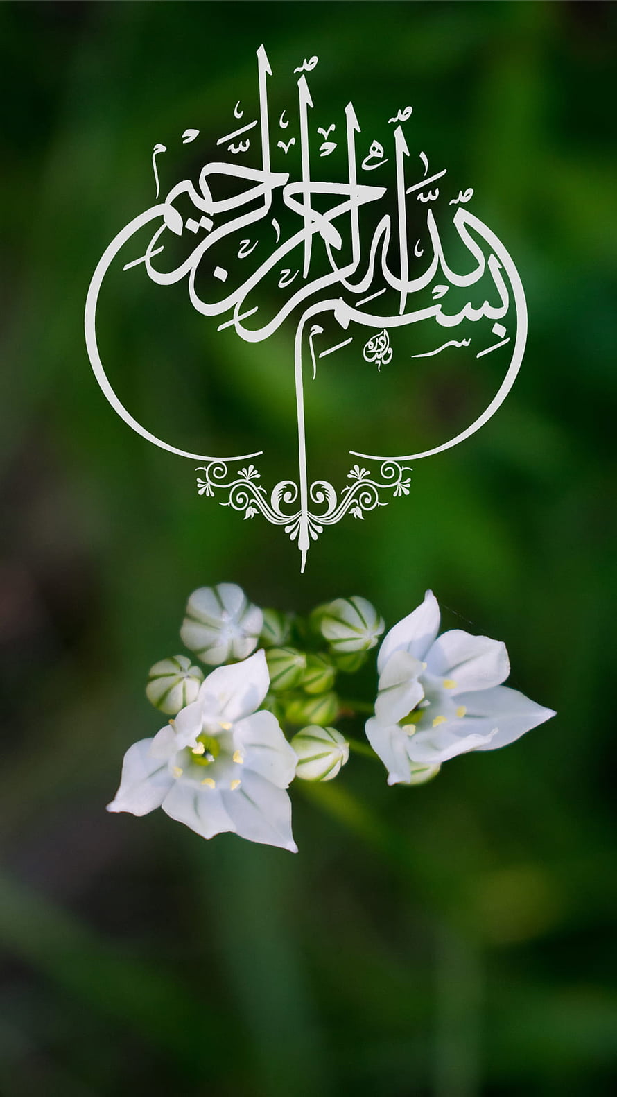Elegant Arabic Calligraphy of Bismillah Above White Wildflowers in a Lush Green Garden HD phone wallpaper